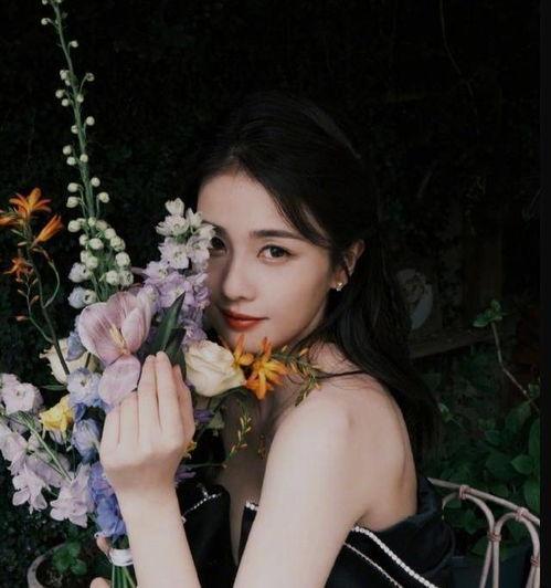 娱乐圈小黑爆料白鹿,真相究竟如何？