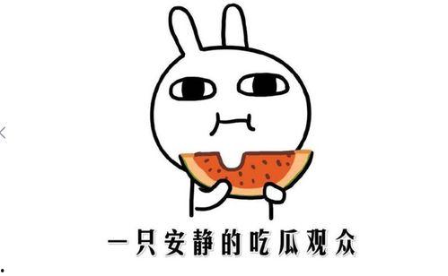 吃瓜事件网红,揭秘吃瓜网红背后的故事