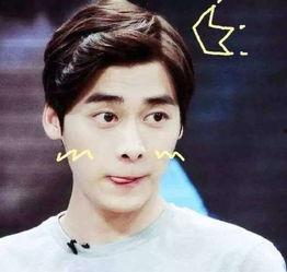 小网红爆料李易峰视频,事件引发热议 第3张 小网红爆料李易峰视频,事件引发热议 第3张