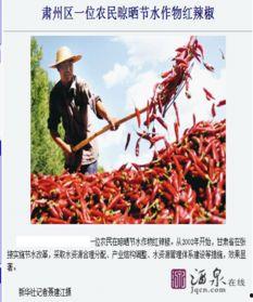 酒泉最新爆料,揭秘神秘事件背后的真相 第1张 酒泉最新爆料,揭秘神秘事件背后的真相 第1张